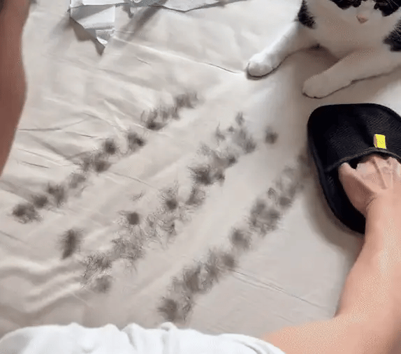 Pet Grooming Glove – Deshedding Brush Mitt for Dogs & Cats